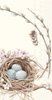 Bird's Nest With Eggs Guest Towels