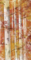 Autumn Birch Guest Towel