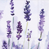 Mangiacotti Lavender Cocktail Napkin