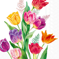 Bright Tulips Cocktail Napkin