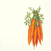 Eddie & Carrots Carrots Cocktail Napkins