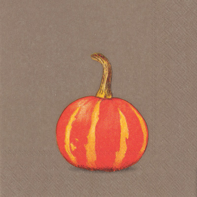 Pumpkin Party Brown Cocktail Napkins