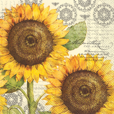 Botanical Sunflower Cream Cocktail Napkins