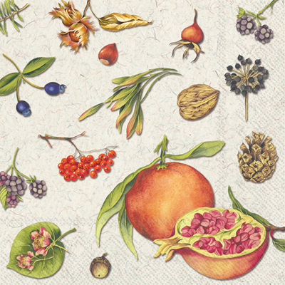 Autumn Fruits Cocktail Napkin