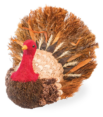 Red Neck Turkey
