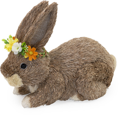 Baran Floral Crown Bunny brown