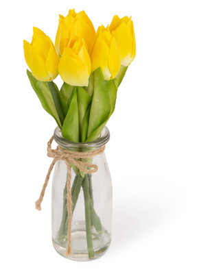 Yellow Tulips in Jar