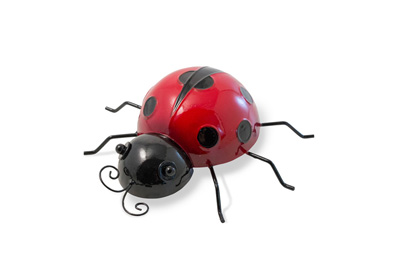 Ladybug Hook Medium