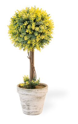 Yellow Ball Topiary in White Pot