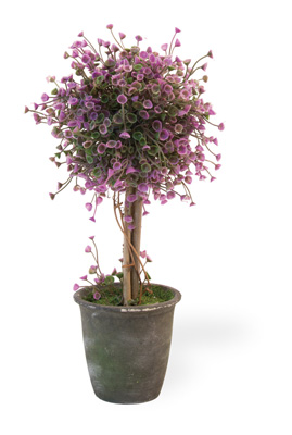Purple Bell Topiary in Black Pot