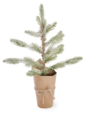 Cypress Cedar Potted Tree Small