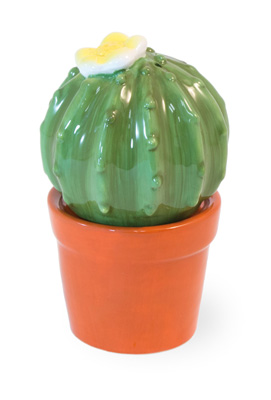 Cactus Pot Salt & Pepper Set
