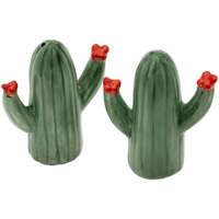 Cactus Bloom Salt & Pepper Shakers