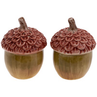 Bright Autumn Acorn Salt & Pepper Set