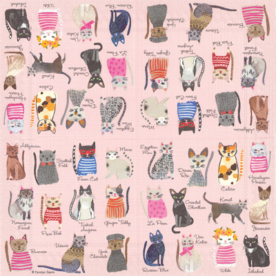 Cool Cats Lunch Napkins