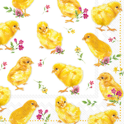 Chicks Lunch Napkin