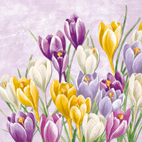 Blooming Crocus Lunch Napkin lilac
