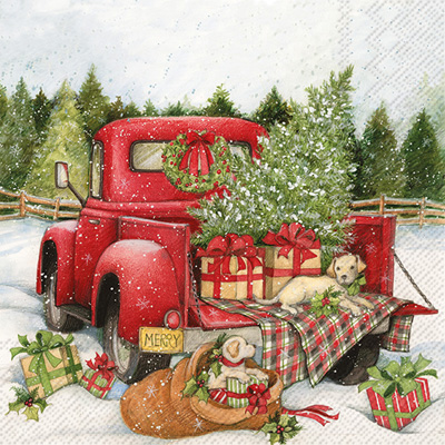 Christmas Delivery Lunch Napkins