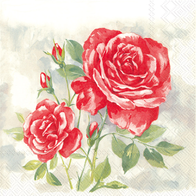 Rose Boutique Red Lunch Napkins