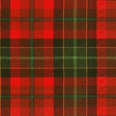 Tartan Lunch Napkins