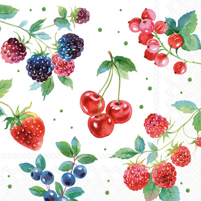 Red Summer Fruits Lunch Napkins