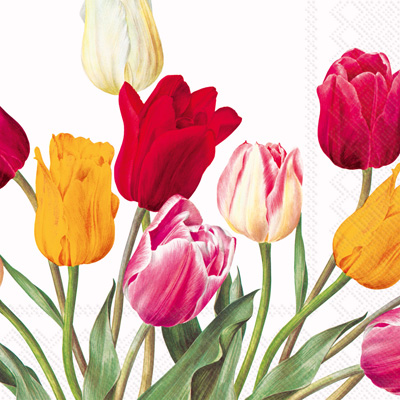 Tulips White Lunch Napkins