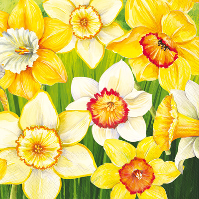 Daffodils Field Lunch Napkins