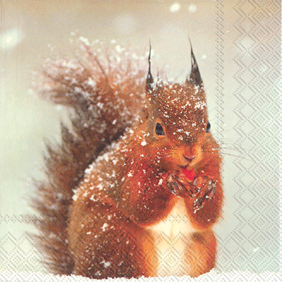 Winter Squirrel Lunch Napkin