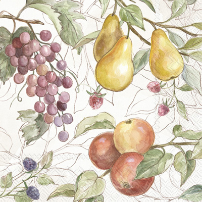 Country Fruits Lunch Napkin - cream