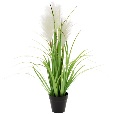 Small White Reed Grass (21 inches)