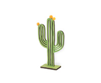 San Pedro Cactus Small