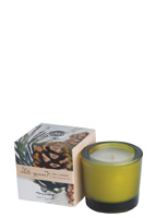 White Spruce Soy Candle - 2.5 Oz.