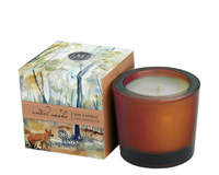 Amber Woods Soy Candle - 2.5 Oz.