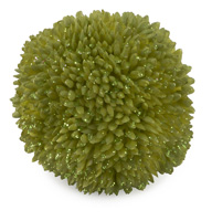 Tea Green Berry Ball - Extra Small