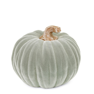 Medium Velvet Pumpkin Grey