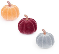 Mini Velvet Pumpkins (Set of 12)