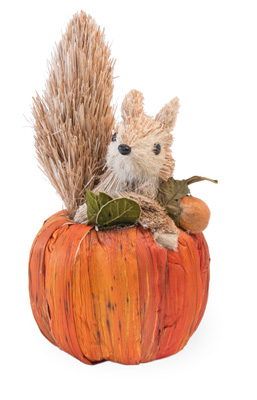 Benny Squirrel in Pumpkin