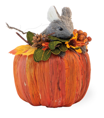 Miller Mouse in Pumpkin