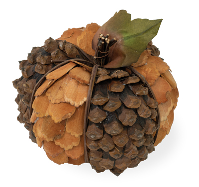 Pinecone Pumpkin