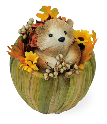 Honey Hedgehog in pumpkin