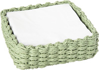 Paper Woven Lunch Caddy light green