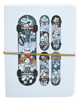Skateboards Pocket Journal Set