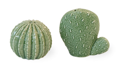 Prickly Cactus Salt & Pepper Set