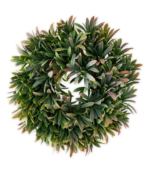 Laurel Leaves Wreath