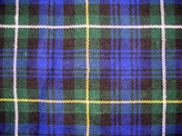 Economy Kilt - Campbell of Argyll Tartan