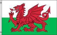 Wales Flag Polyester