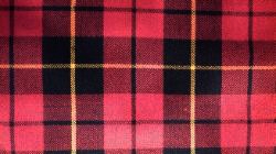 Hybrid Kilt - Wallace Modern Tartan