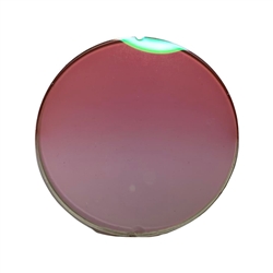 Cartier : Pink Gradient Champagne w/ Green Flash Mirror Lenses