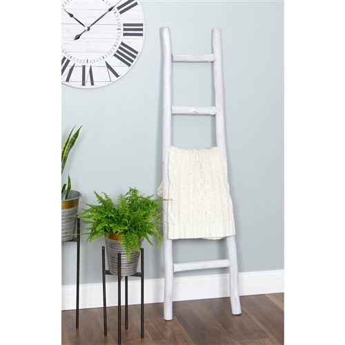 6008 - Dora 5 ft Decorative Ladder - White Finish