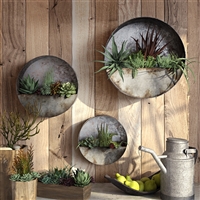 6473 - Aria Succulent Wall Planters (Set of 3)